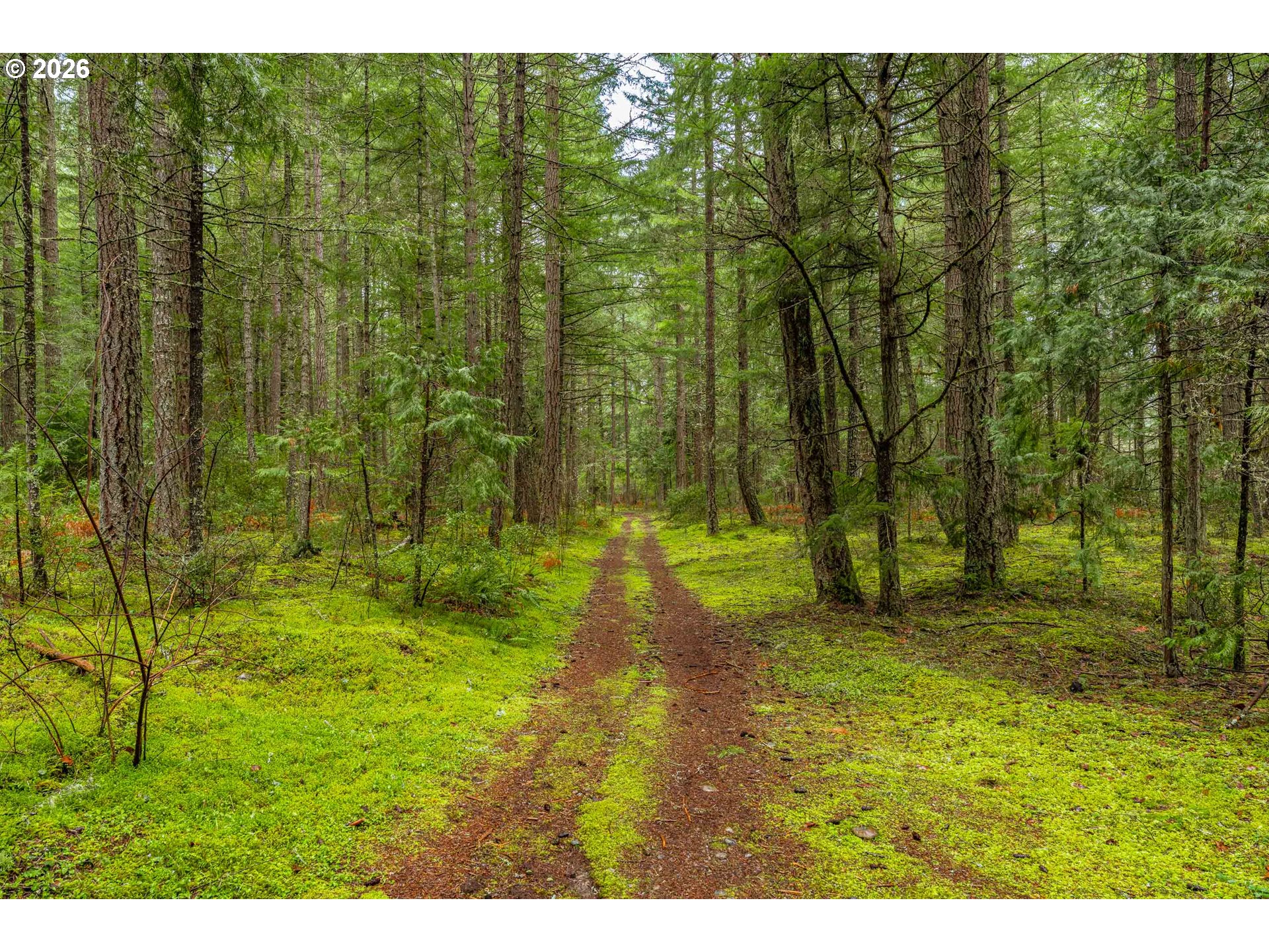 Creek Road Azalea, OR 97410 - Photo 14 of 29