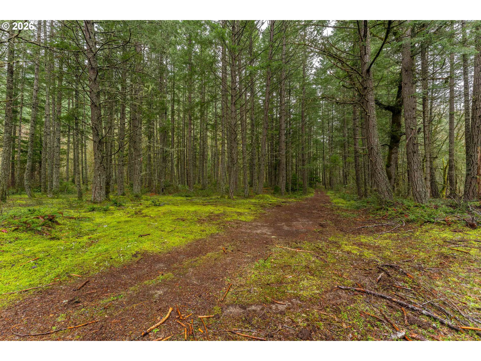 Creek Road Azalea, OR 97410 - Photo 17 of 29