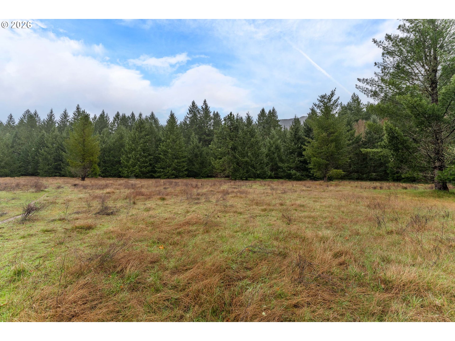 Creek Road Azalea, OR 97410 - Photo 18 of 29