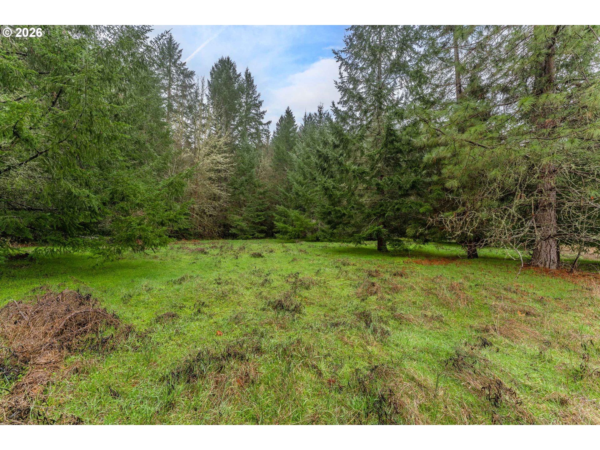 Creek Road Azalea, OR 97410 - Photo 19 of 29