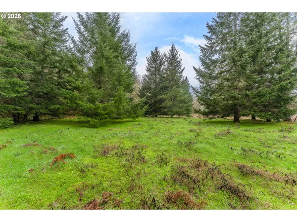 $354,900 | Creek Road, Azalea, OR 97410