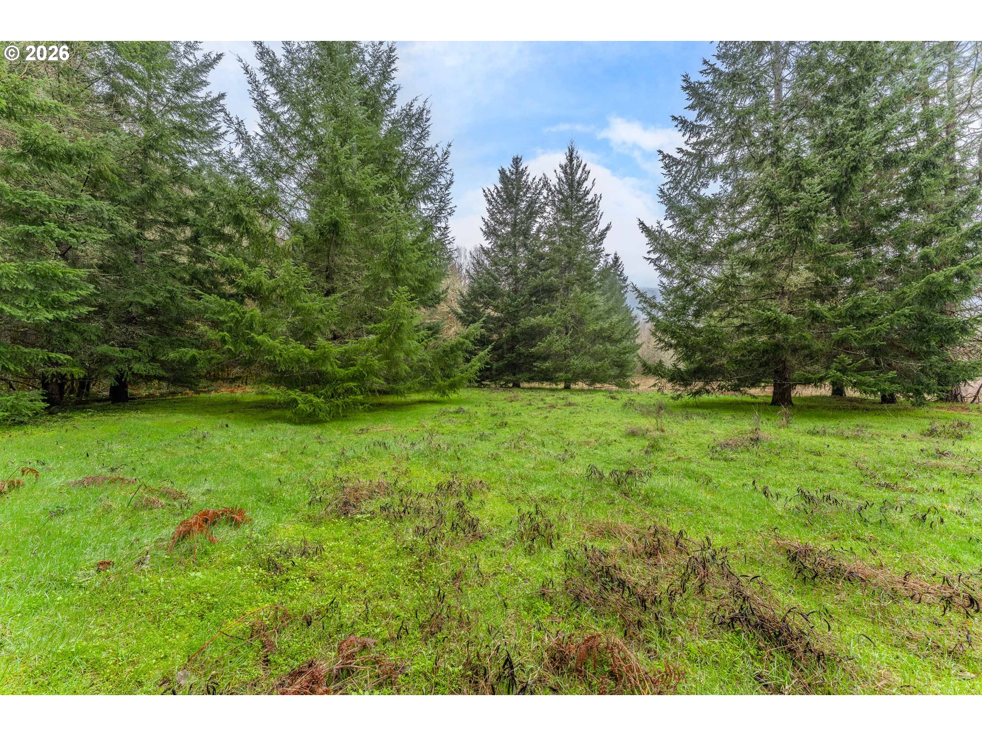 Creek Road Azalea, OR 97410 - Photo 20 of 29