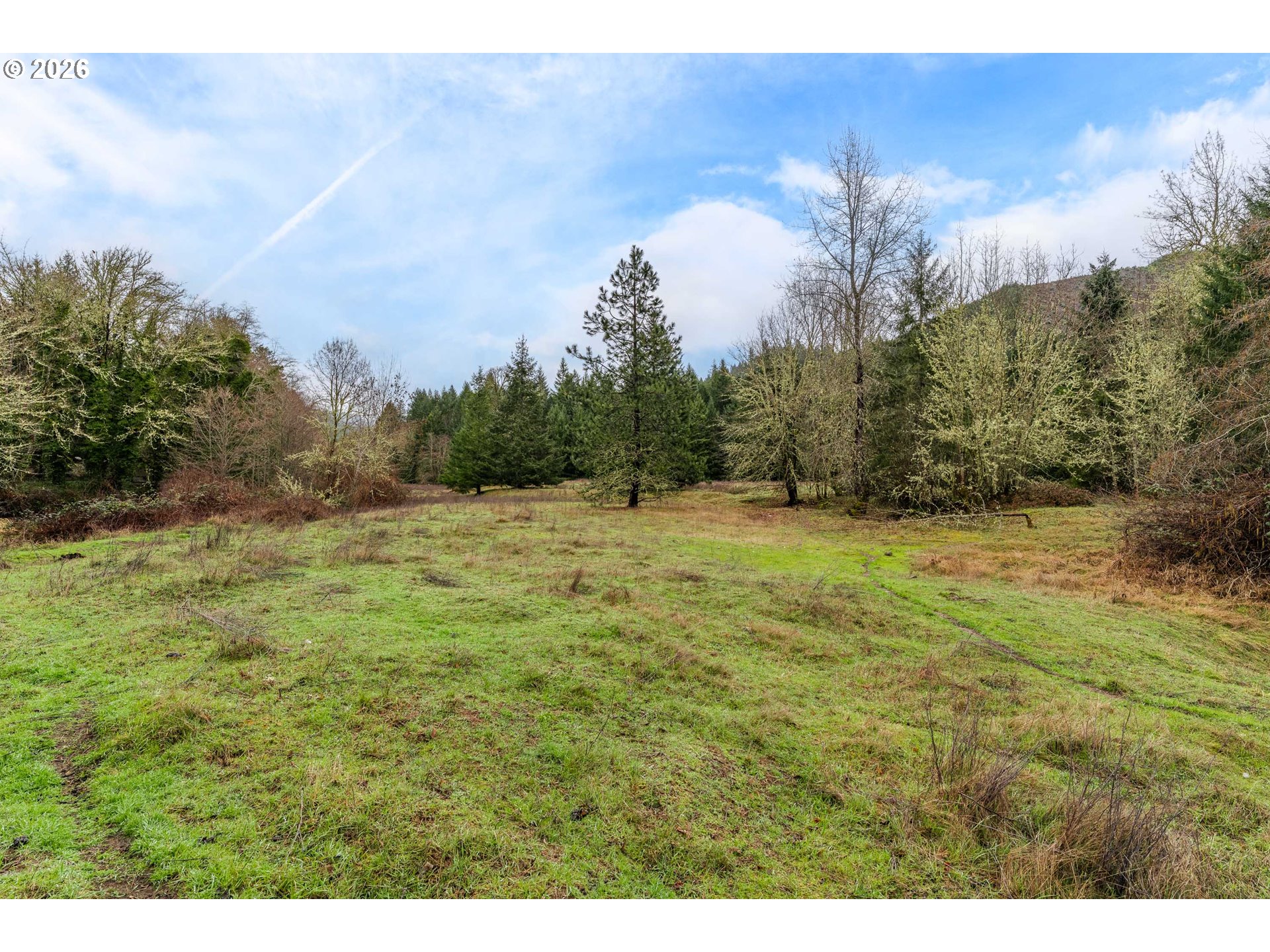 Creek Road Azalea, OR 97410 - Photo 22 of 29