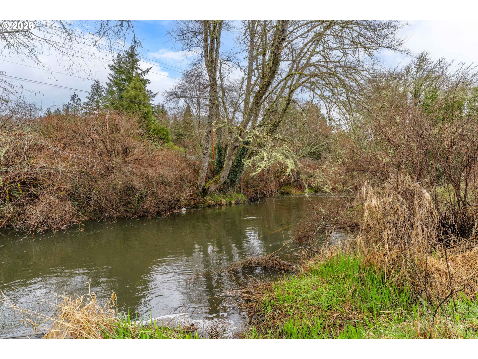 Creek Road Azalea, OR 97410 - Photo 23 of 29