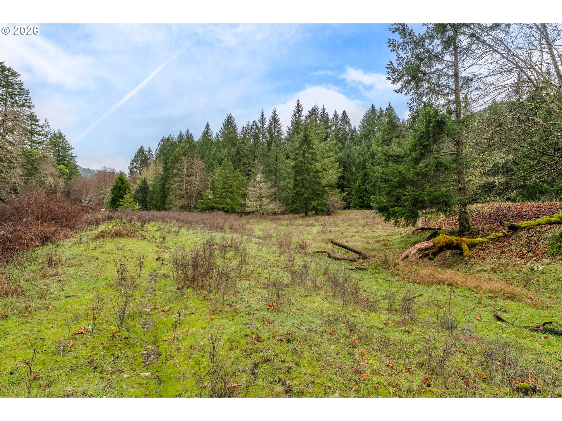 Creek Road Azalea, OR 97410 - Photo 26 of 29