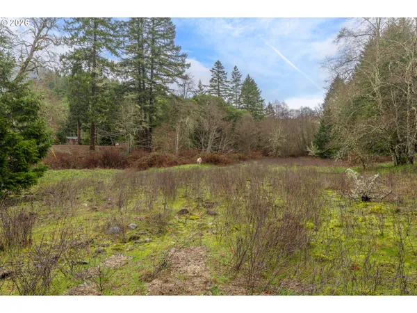 $354,900 | Creek Road, Azalea, OR 97410