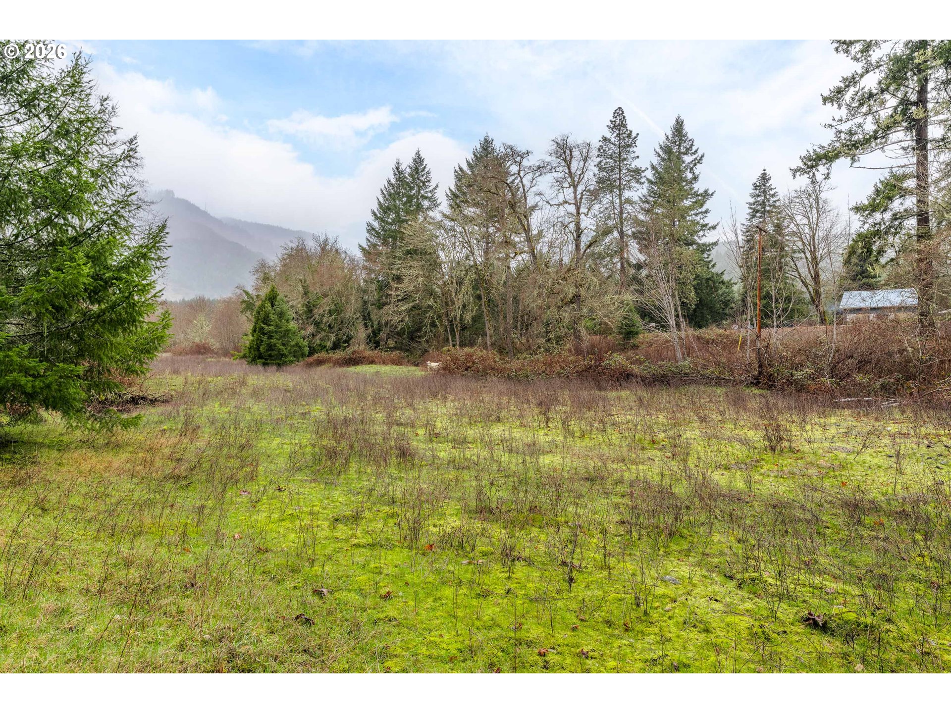 Creek Road Azalea, OR 97410 - Photo 28 of 29