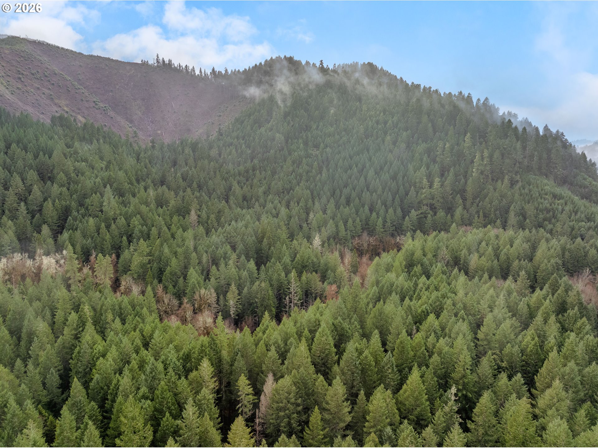 Creek Road Azalea, OR 97410 - Photo 6 of 29