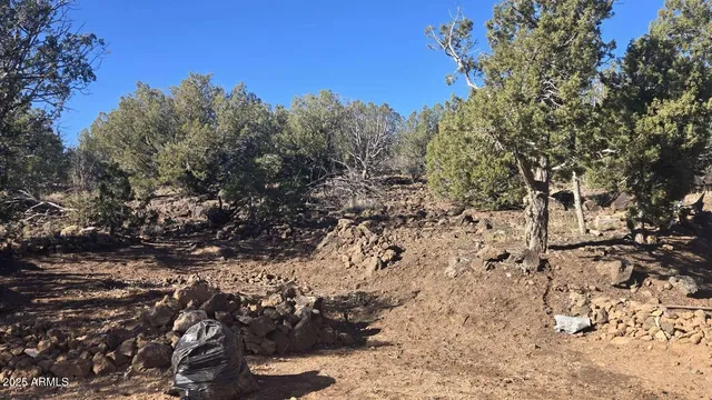 $39,900 | 9938 Gleed Station Road, Unit 188, Ash Fork, AZ 86320