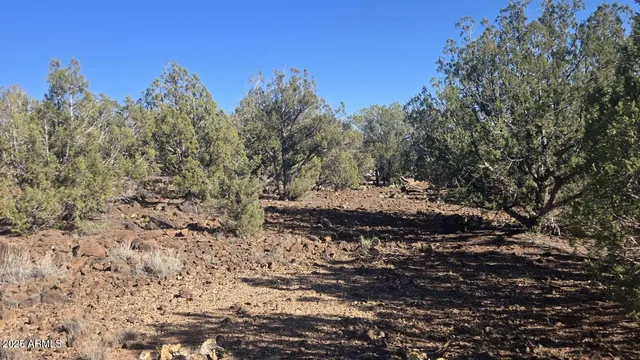 $39,900 | 9938 Gleed Station Road, Unit 188, Ash Fork, AZ 86320