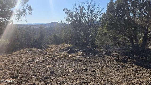 $39,900 | 9938 Gleed Station Road, Unit 188, Ash Fork, AZ 86320