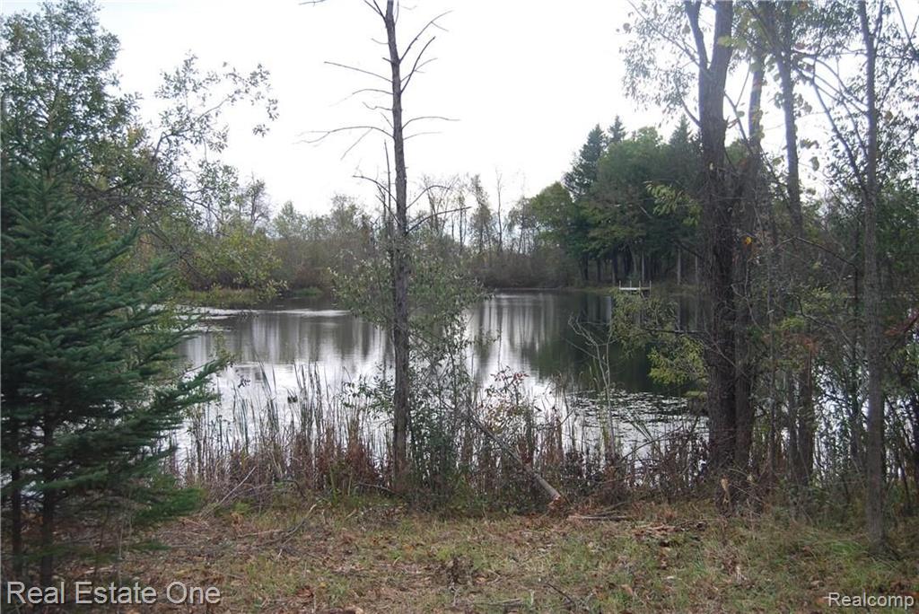 V/l Perry Lake Road Ortonville, MI 48462 - Photo 16 of 30 Gallery Image 16