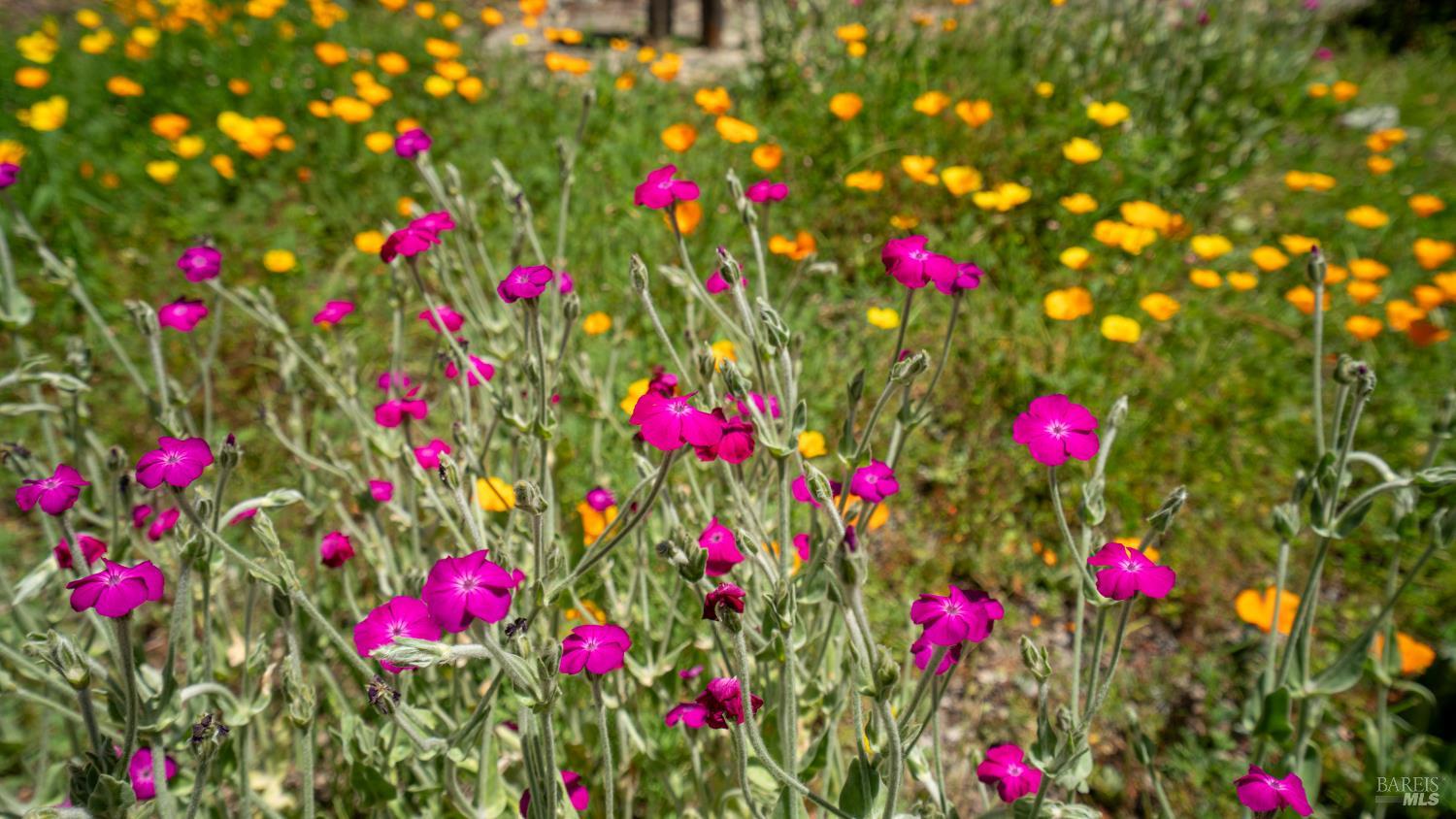 4020 Madera Avenue Santa Rosa, CA 95407 - Photo 26 of 29