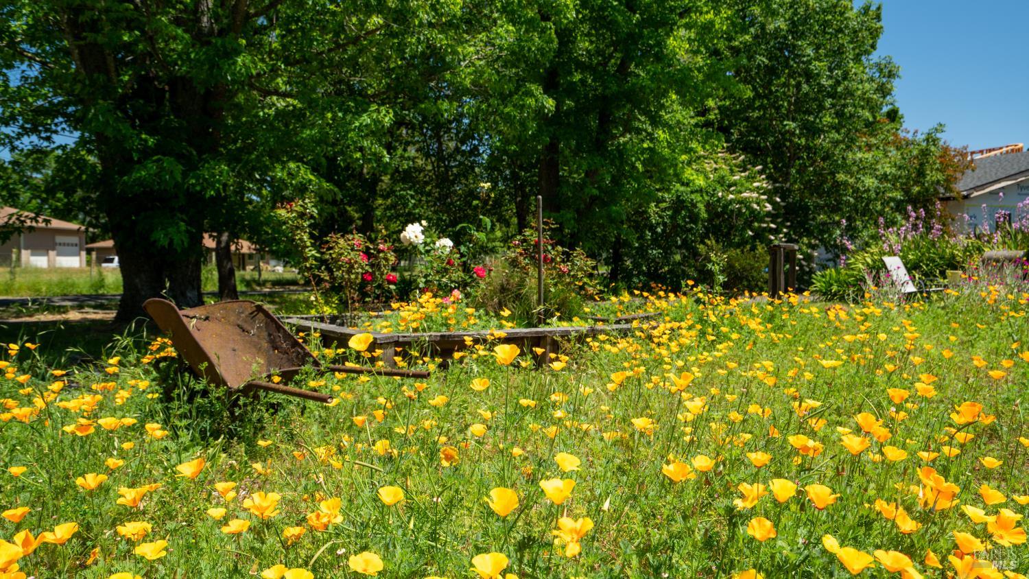 4020 Madera Avenue Santa Rosa, CA 95407 - Photo 29 of 29