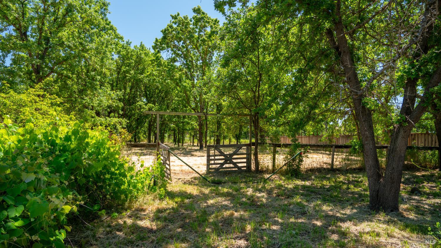 4020 Madera Avenue Santa Rosa, CA 95407 - Photo 3 of 29