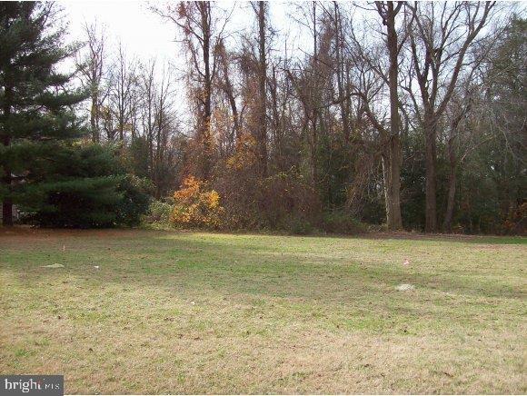 Lot 1 Bethesda Road Georgetown, DE 19947 - Photo 1 of 7 Gallery Image 1