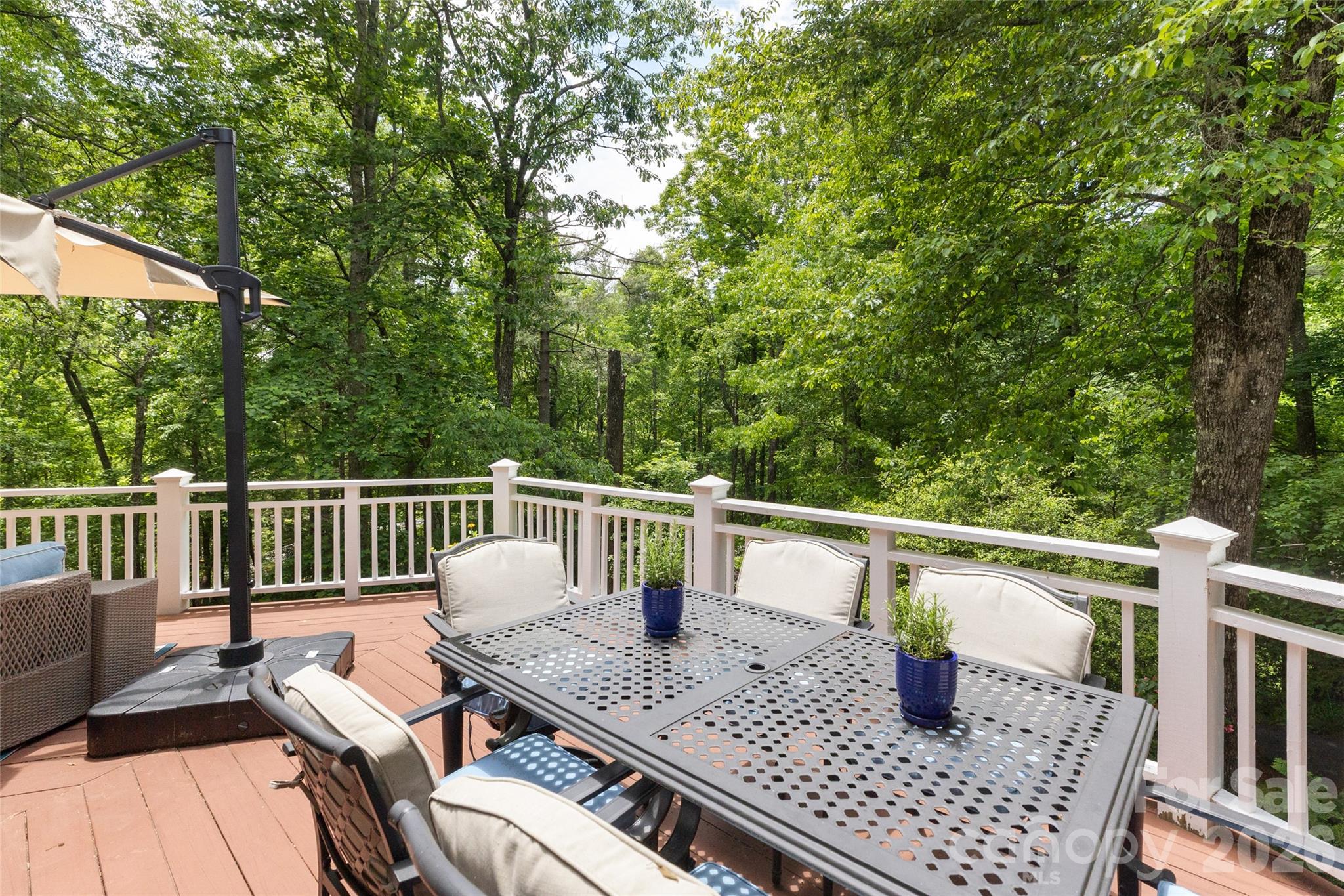 85 Ralph Thomas Road Highlands, NC 28741 - Photo 42 of 48