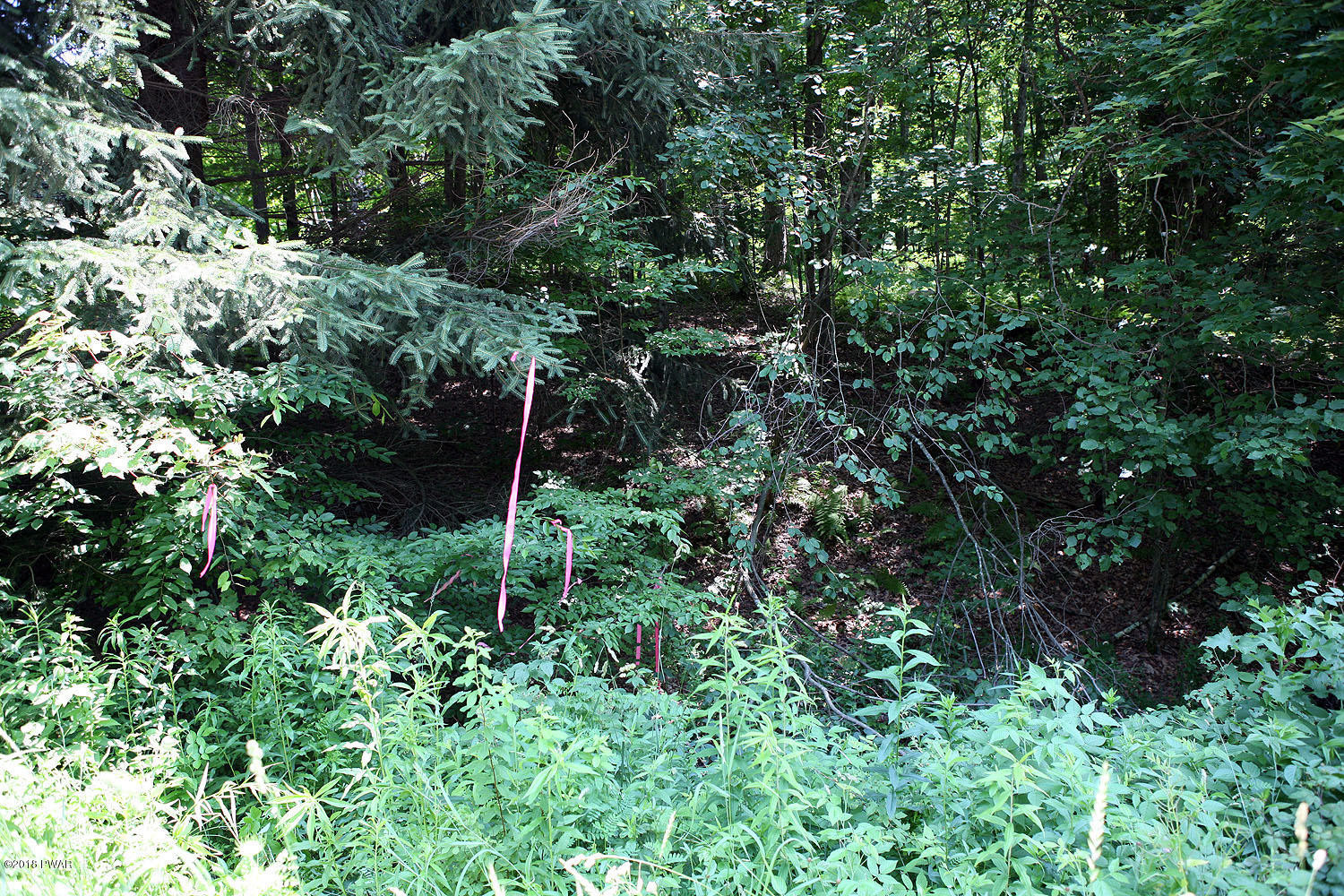 0 Callicoon Road Damascus, PA 18415 - Photo 12 of 20 07 02 18 134