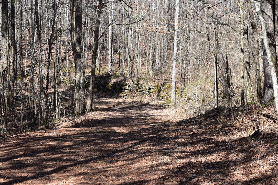 0 Oaks Chapel Road Goodwater, AL 35072 - Photo 6 of 19 Gallery Image 6