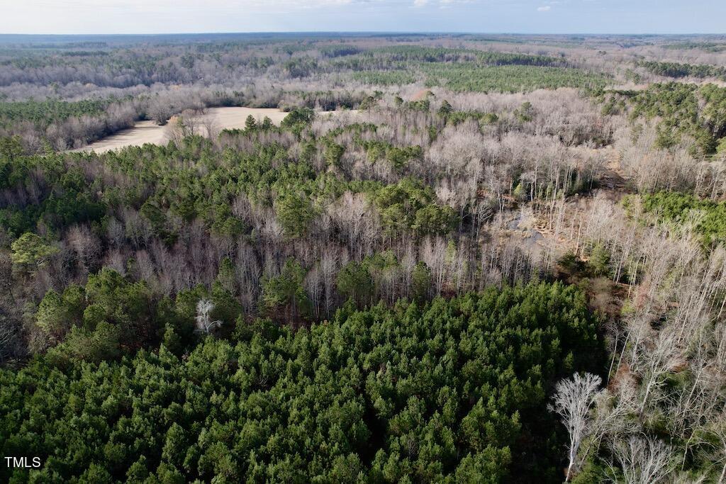 1 Peachtree Hills Road Spring Hope, NC 27882 - Photo 14 of 40 16