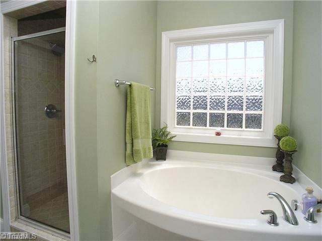 8412 Monticello Ridge Drive Rural Hall, NC 27045 - Photo 12 of 16 Master Bath/Spa.