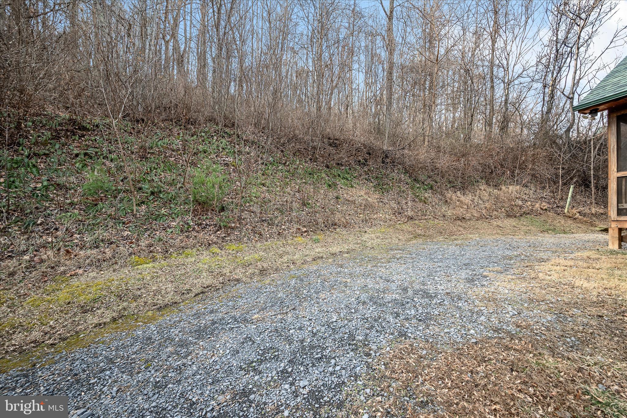 217 Jewell Road Luray, VA 22835 - Photo 6 of 94 Driveway