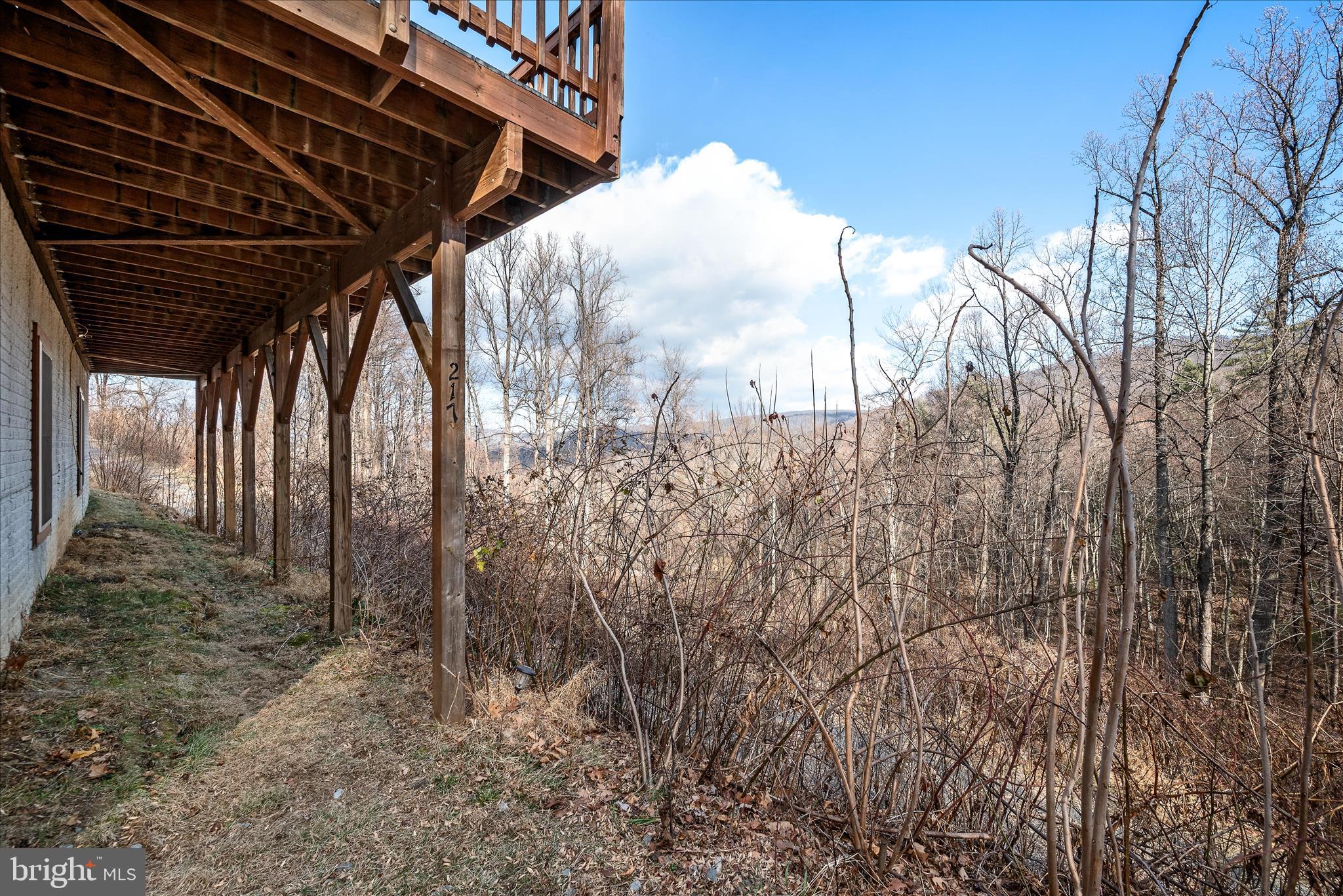 217 Jewell Road Luray, VA 22835 - Photo 7 of 94 Backyard