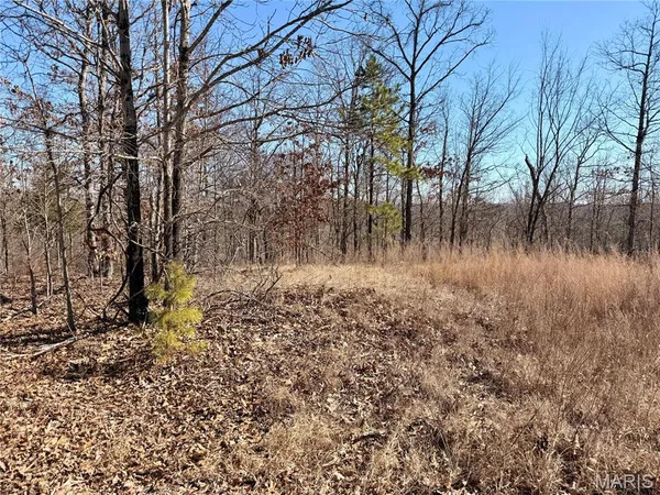 $60,714 | 122 A Madison Cr, Fredericktown, MO 63645