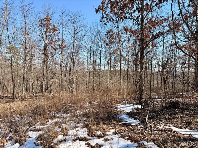 $60,714 | 122 A Madison Cr, Fredericktown, MO 63645