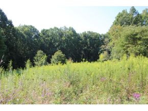 0 Slabtown Road Mountain City, TN 37683 - Photo 1 of 3 LOOKING SOUTH