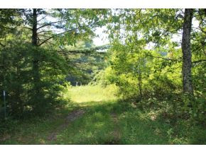 0 Slabtown Road Mountain City, TN 37683 - Photo 2 of 3 ENTRY TO PARCEL
