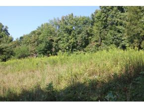 0 Slabtown Road Mountain City, TN 37683 - Photo 3 of 3 LOOKING SOUTHWEST