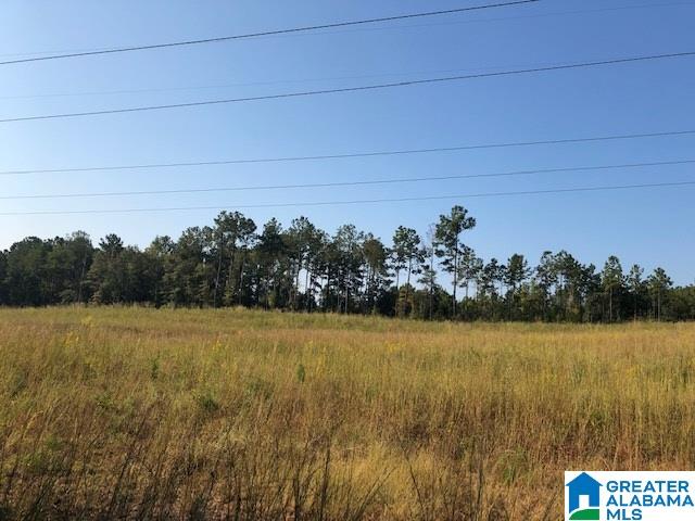 900 Holloway Road, Unit 58 AC Camp Hill, AL 36850 - Photo 4 of 6
