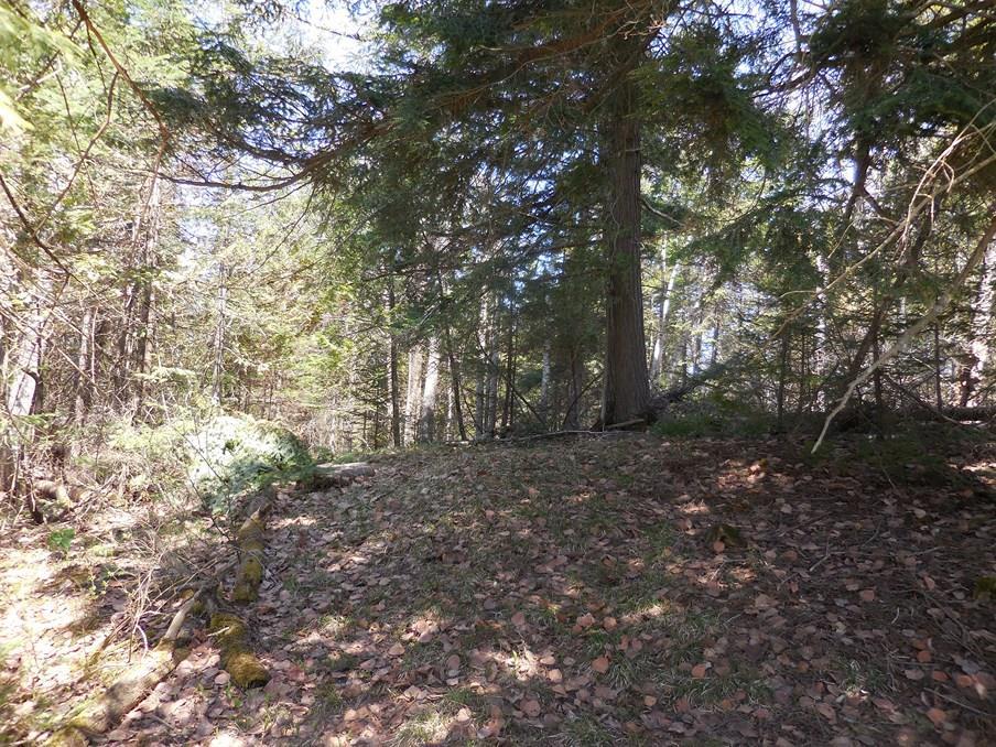0 Coboro Road Stetson, ME 04488 - Photo 6 of 24 Photo