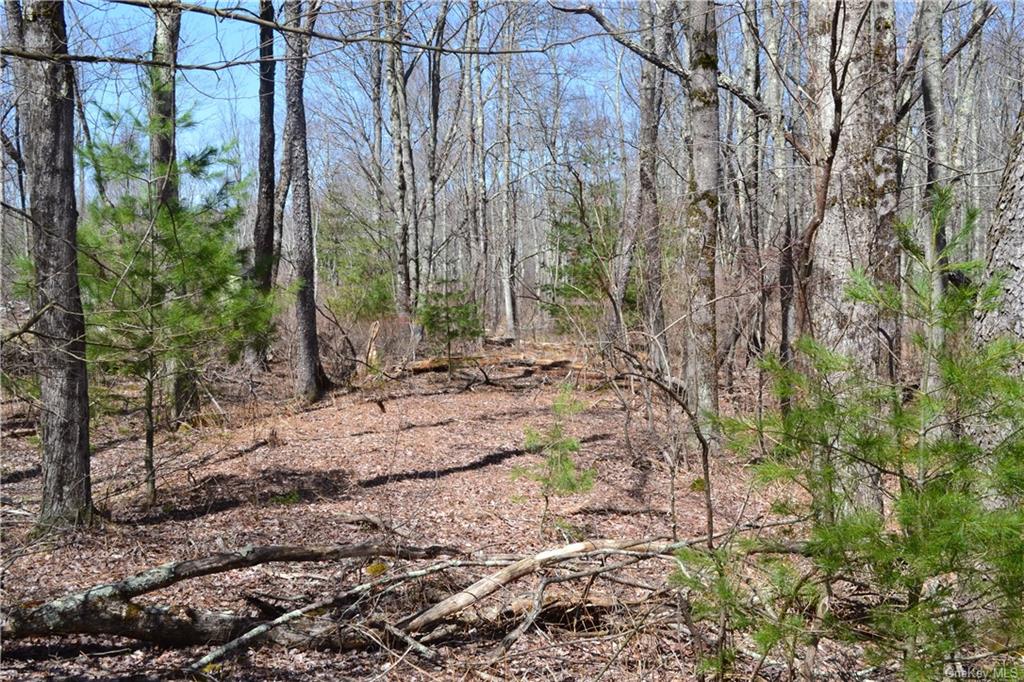 Garden House Road Hurleyville, NY 12747 - Photo 11 of 19