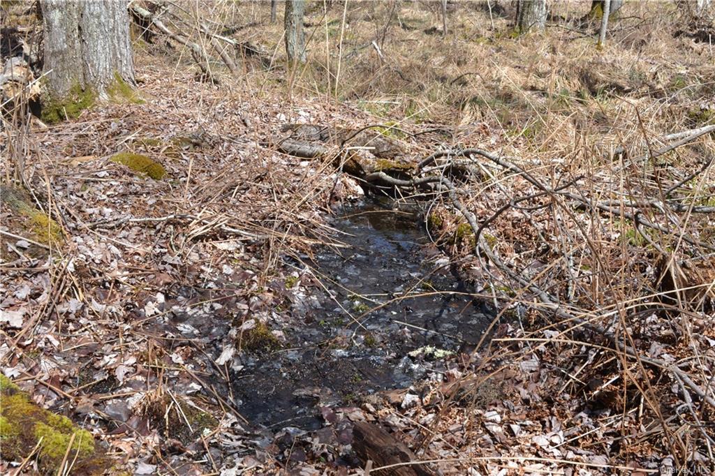 Garden House Road Hurleyville, NY 12747 - Photo 12 of 19