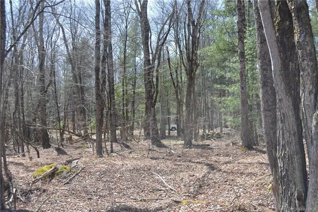 $79,900 | Garden House Road, Hurleyville, NY 12747