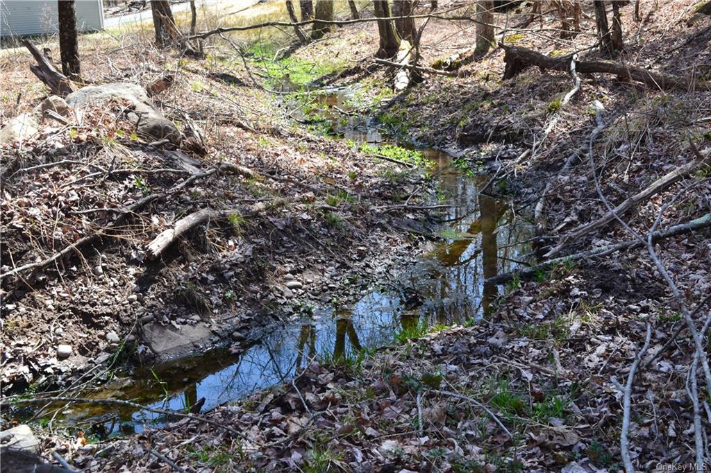 Garden House Road Hurleyville, NY 12747 - Photo 14 of 19