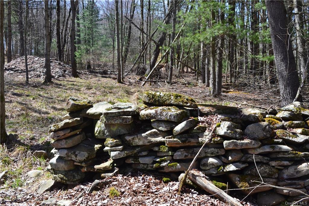 Garden House Road Hurleyville, NY 12747 - Photo 15 of 19