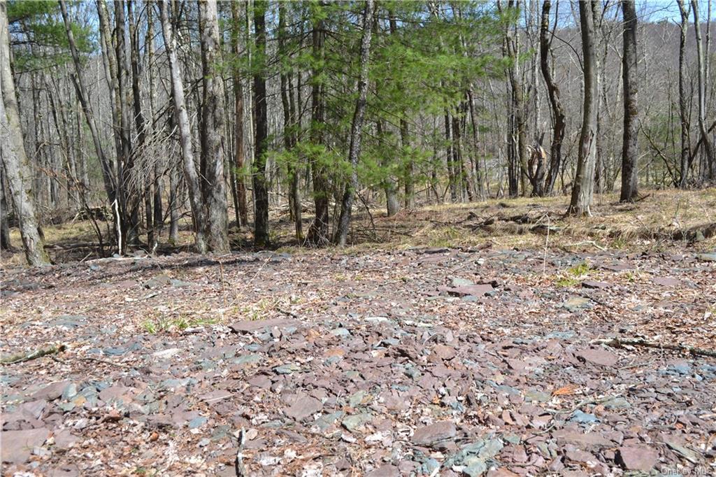 Garden House Road Hurleyville, NY 12747 - Photo 16 of 19