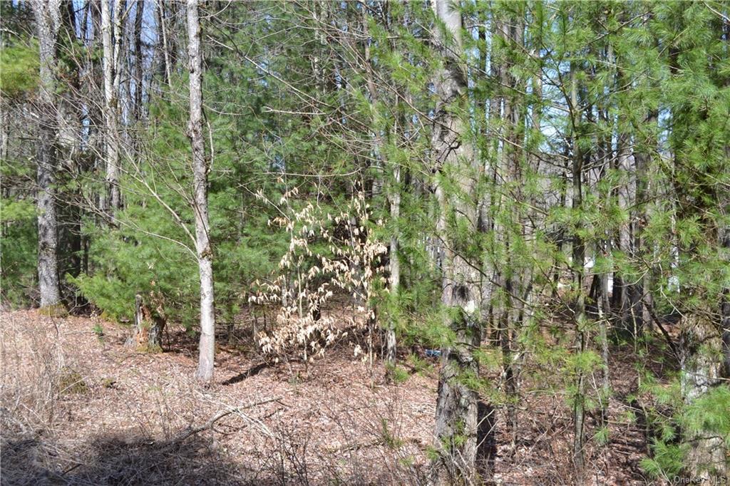 Garden House Road Hurleyville, NY 12747 - Photo 17 of 19