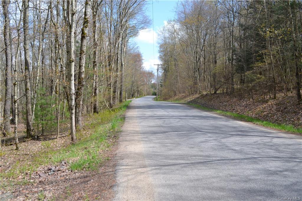 Garden House Road Hurleyville, NY 12747 - Photo 3 of 19