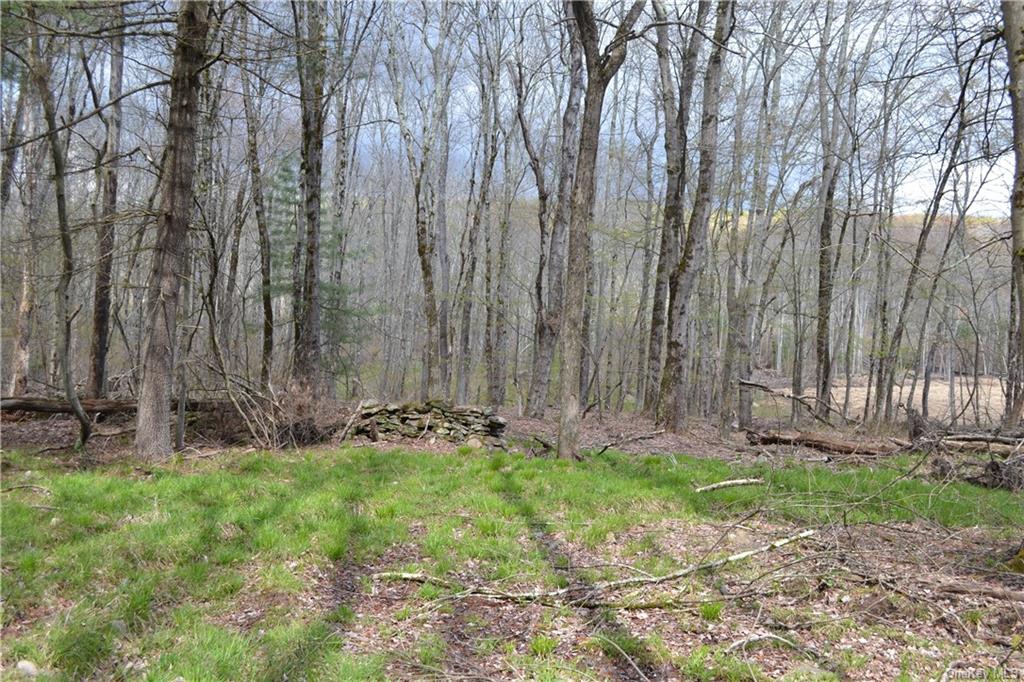 Garden House Road Hurleyville, NY 12747 - Photo 4 of 19