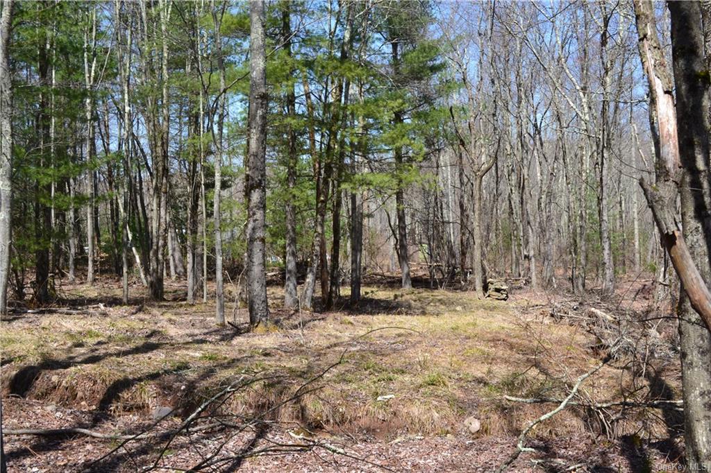 Garden House Road Hurleyville, NY 12747 - Photo 7 of 19