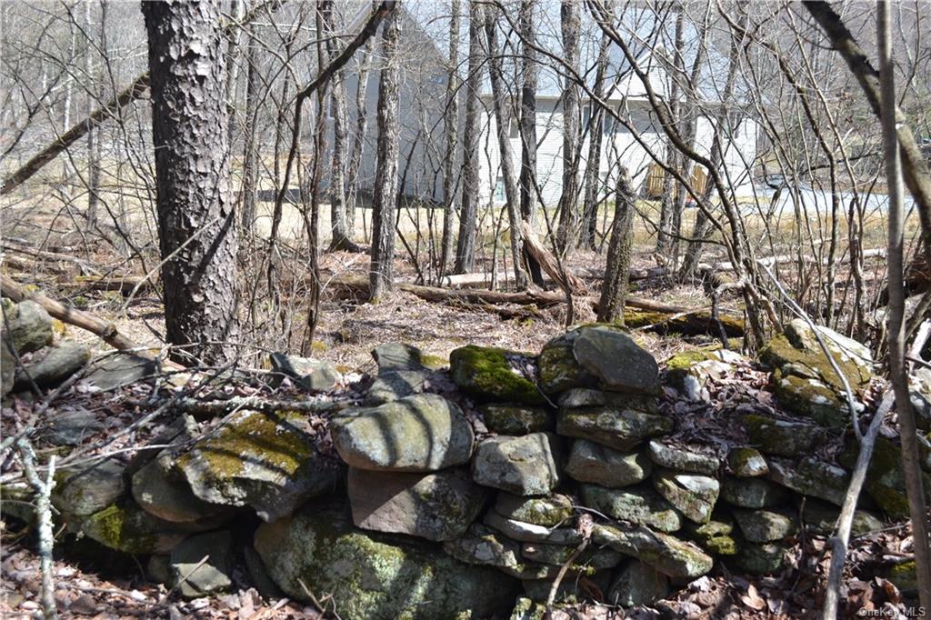 Garden House Road Hurleyville, NY 12747 - Photo 8 of 19