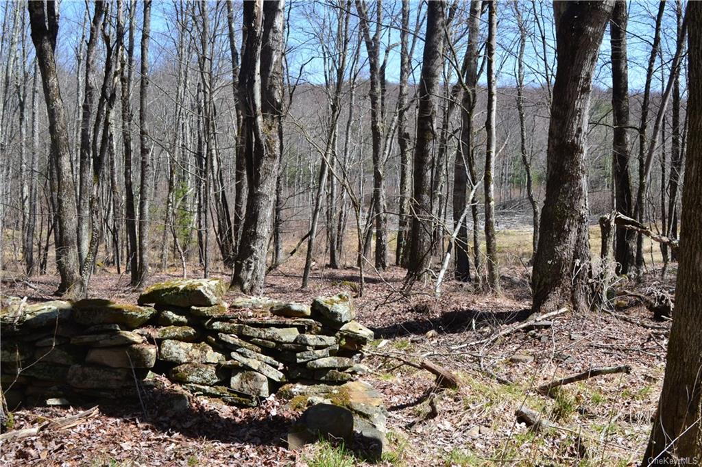 Garden House Road Hurleyville, NY 12747 - Photo 9 of 19