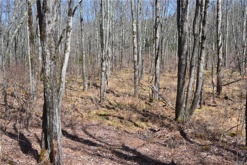 Garden House Road Hurleyville, NY 12747 - Photo 10 of 19