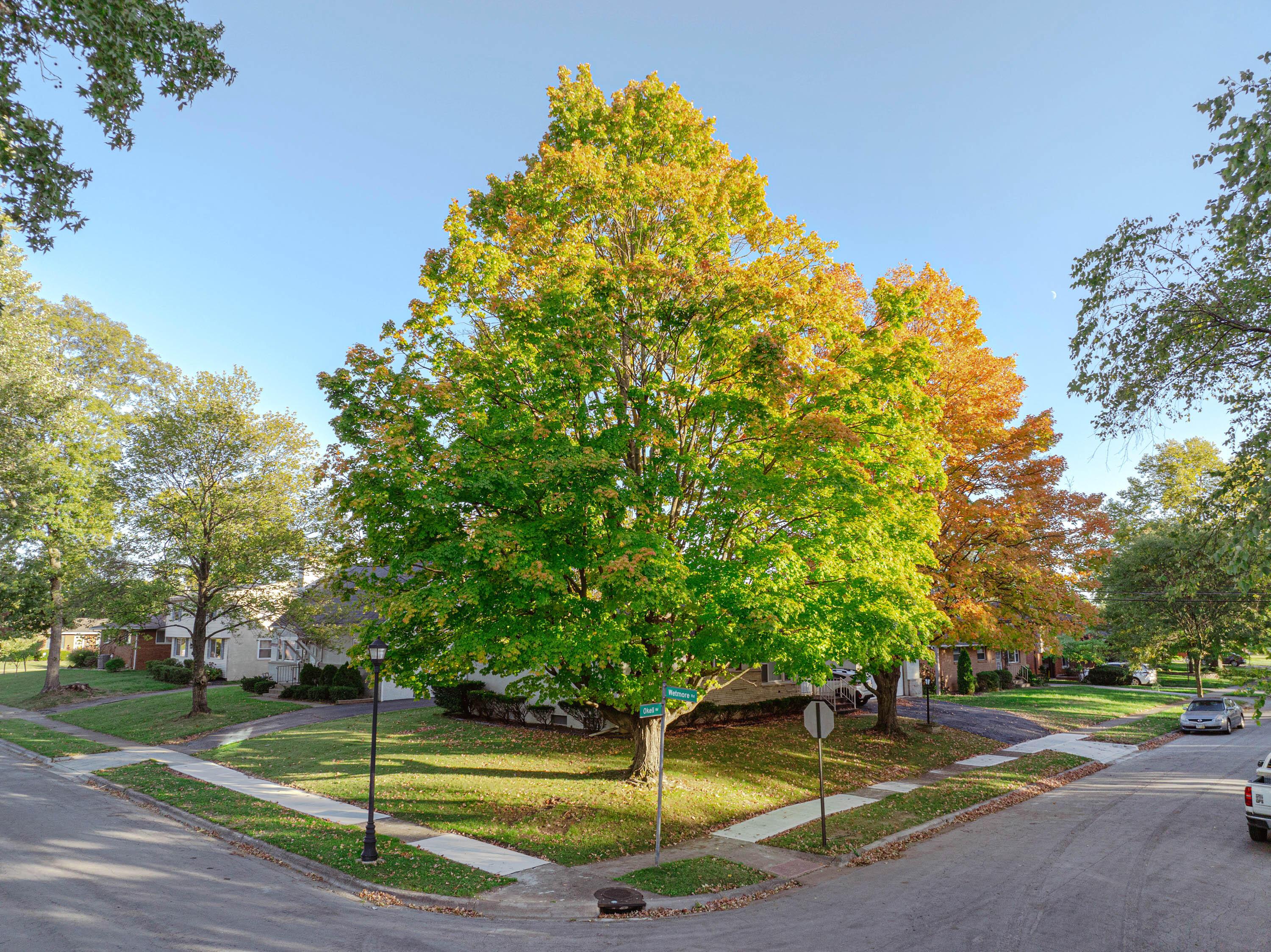 4496 Okell Road Columbus, OH 43224 - Photo 17 of 49 4496Okell-8
