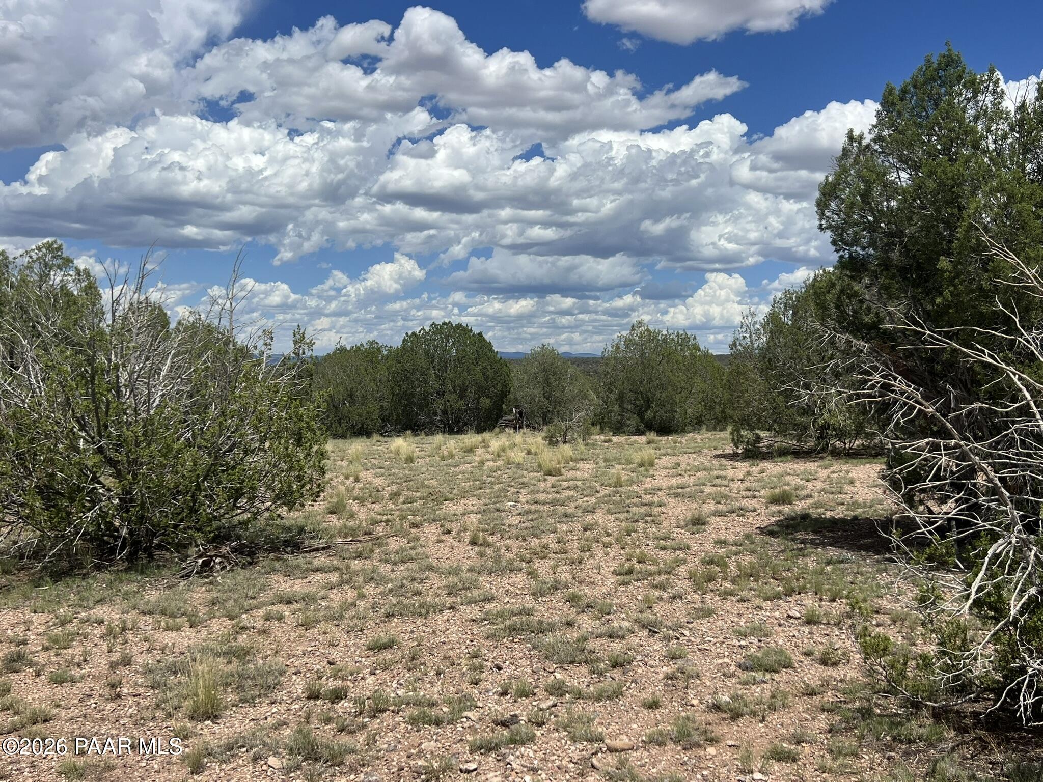70 Arizona Road Ash Fork, AZ 86320 - Photo 5 of 11 IMG_0181