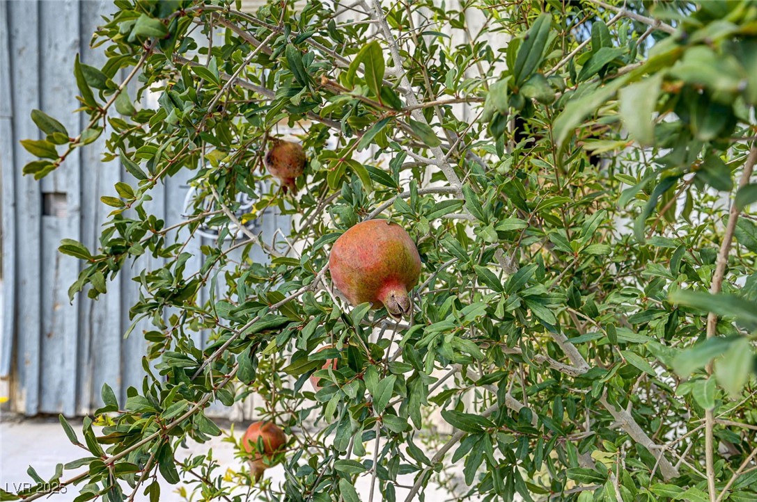 1405 East Bridger Avenue, Unit B Las Vegas, NV 89101 - Photo 16 of 30